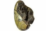 Septarian Dragon Egg Geode - Black Crystals #110877-2